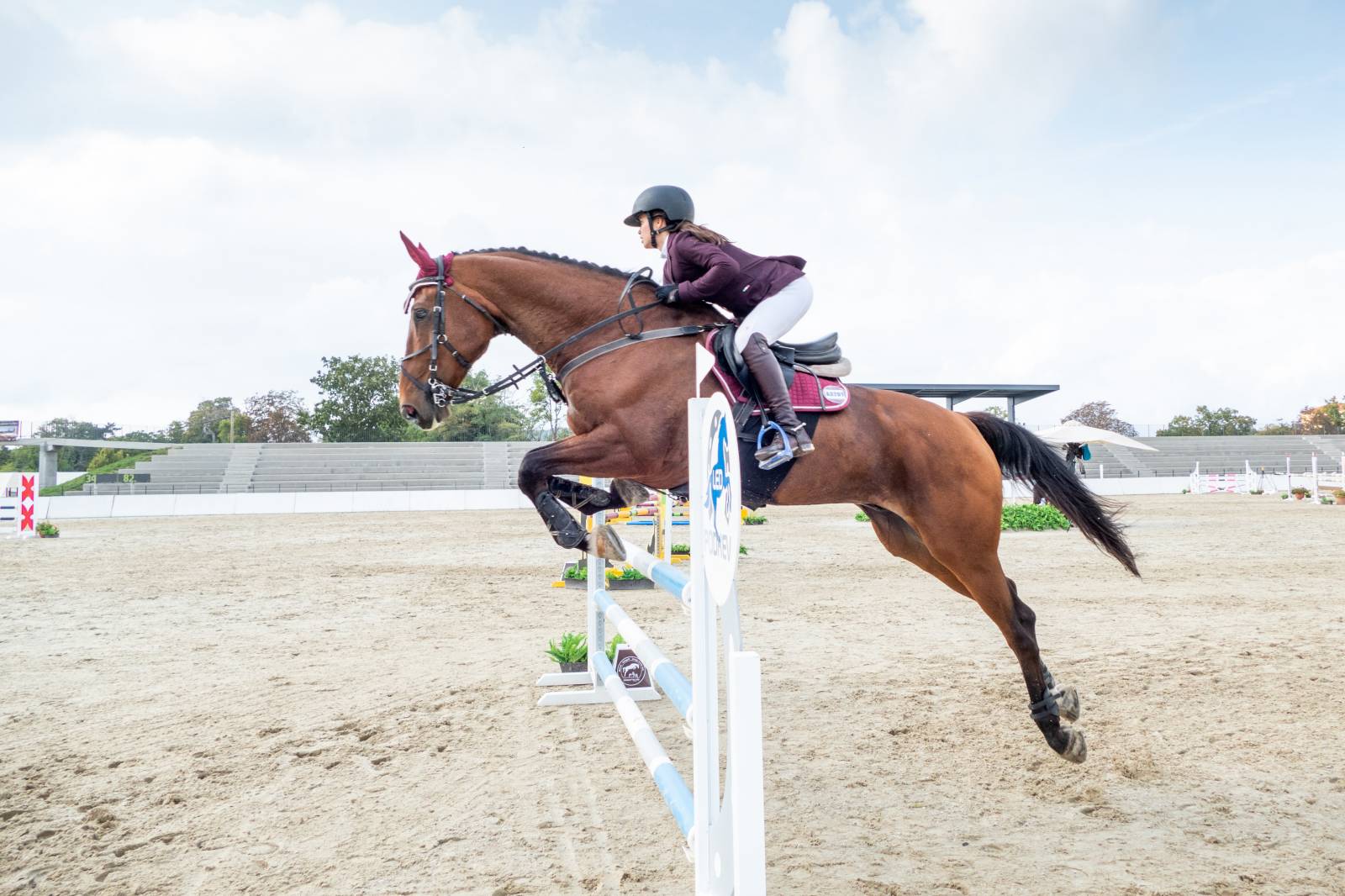 Avocat compétent pour assistance en cas de contentieux en droit équin avec procédure judiciaire ou règlement amiable Perpignan dans les Pyrénées-Orientales