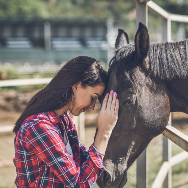 Pourquoi un cavalier doit-il faire appel à un avocat à la suite d’un accident de cheval en France ?